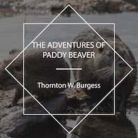 The Adventures of Paddy Beaver