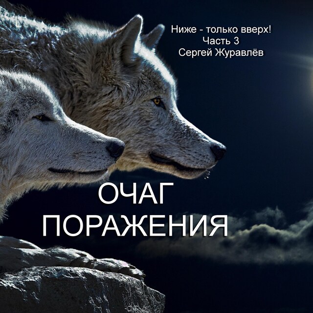 Book cover for Очаг поражения