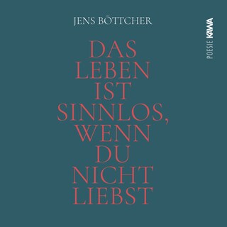 Das Leben ist sinnlos, wenn du nicht liebst als Hörbuch