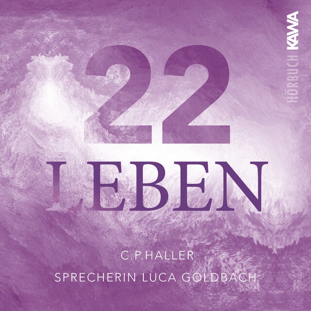 Book cover for 22 Leben