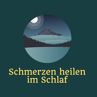 Schmerzen heilen im Schlaf als Hörbuch