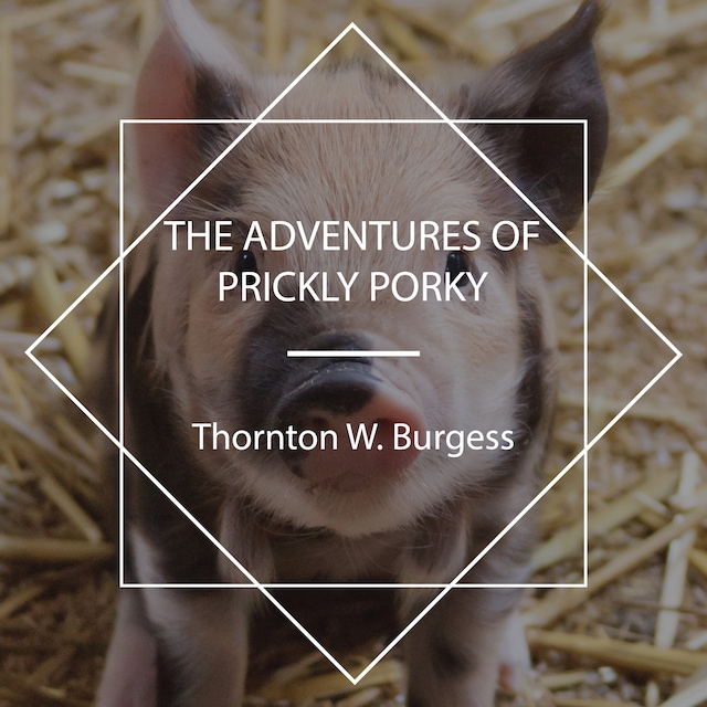 Boekomslag van The Adventures of Prickly Porky