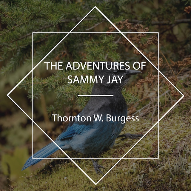 Book cover for The Adventures of Sammy Jay