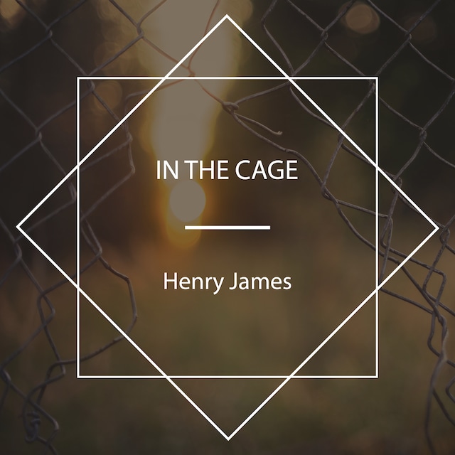Book cover for In the Cage