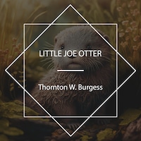 Little Joe Otter