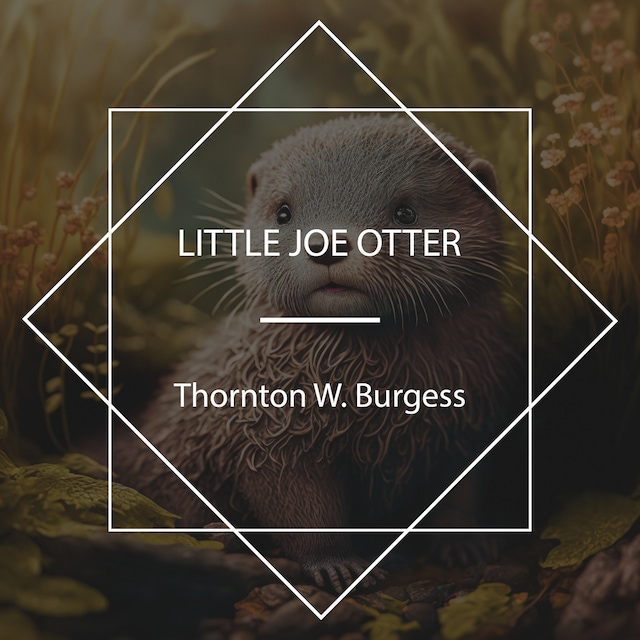 Book cover for Little Joe Otter