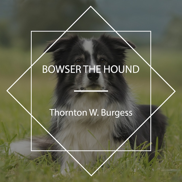 Buchcover für Bowser the Hound