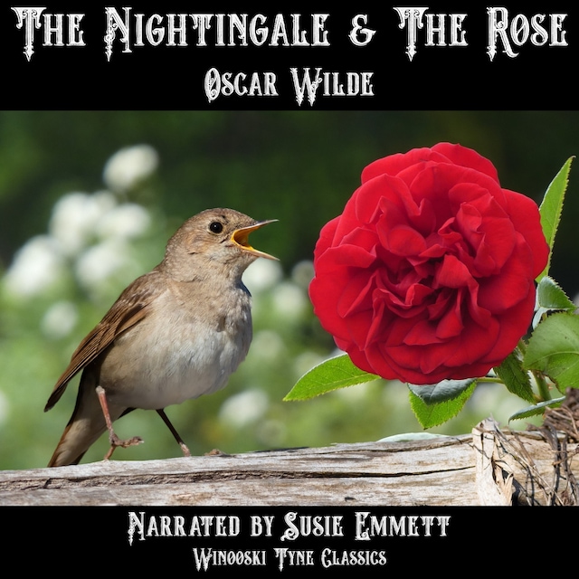 Buchcover für The Nightingale & the Rose