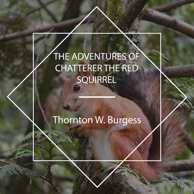 Boekomslag van The Adventures of Chatterer the Red Squirrel