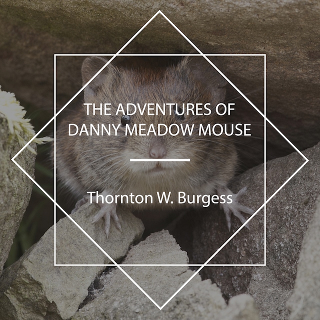 Boekomslag van The Adventures of Danny Meadow Mouse