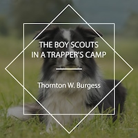 The Boy Scouts in a Trapper's Camp