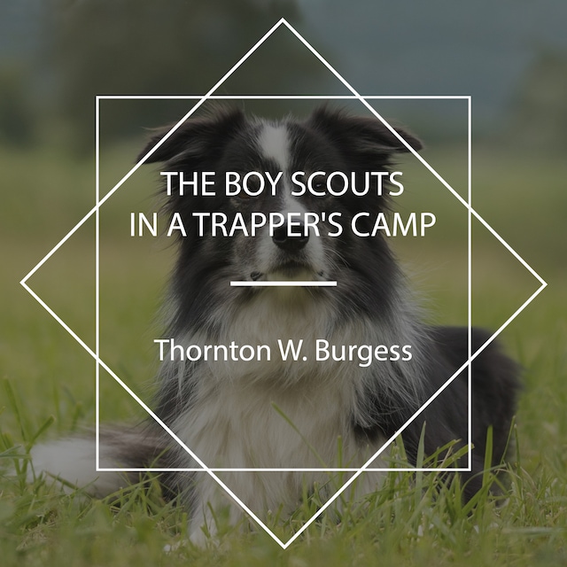 Boekomslag van The Boy Scouts in a Trapper's Camp