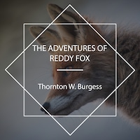The Adventures of Reddy Fox