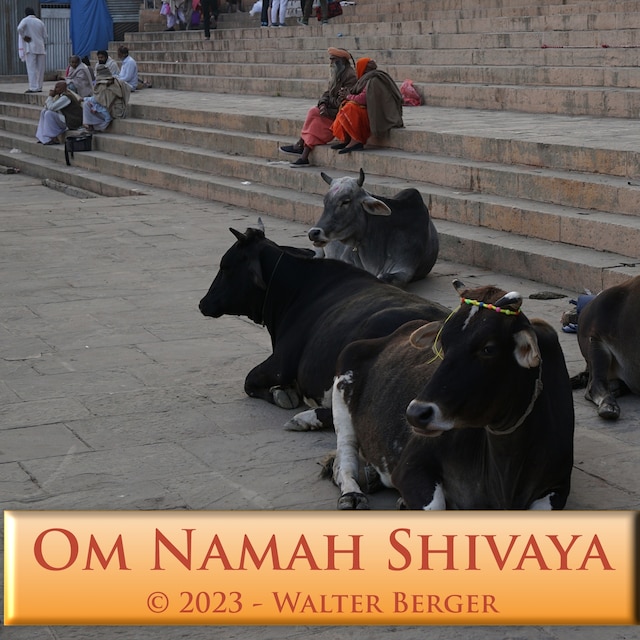 Buchcover für Om Namah Shivaya - 108 Mantras