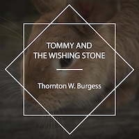 Tommy and the Wishing Stone
