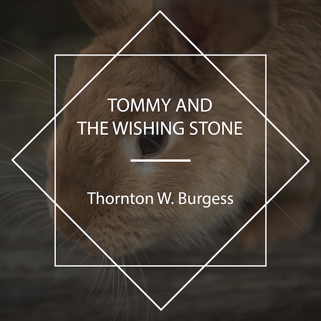Boekomslag van Tommy and the Wishing Stone