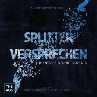 Splitterversprechen als Hörbuch