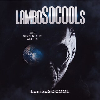 lamboSOCOOLs Wir sind nicht allein als Hörbuch