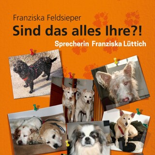 Sind das alles Ihre?! als Hörbuch