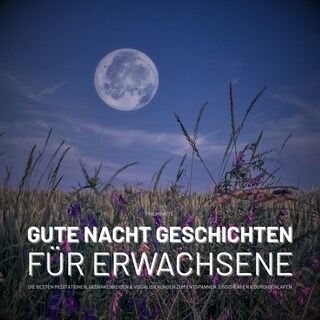 Traumhafte Gute Nacht Geschichten für Erwachsene als Hörbuch