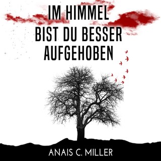 Im Himmel bist du besser aufgehoben als Hörbuch