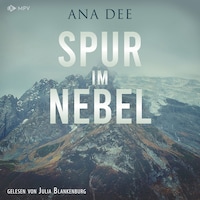 Spur im Nebel