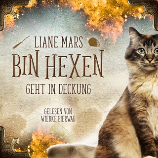 Bin Hexen 2: Geht in Deckung als Hörbuch