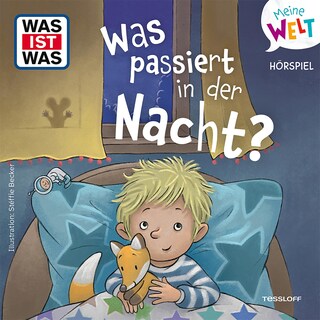 Was passiert in der Nacht? als Hörbuch
