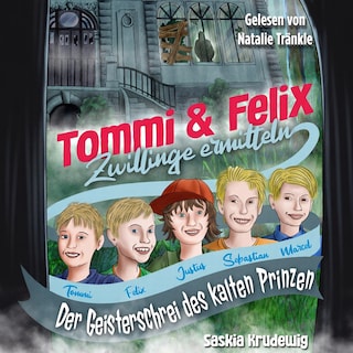Tommi und Felix Zwillinge ermitteln als Hörbuch