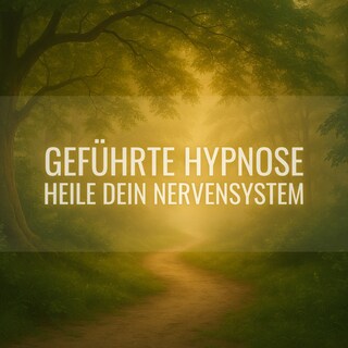 Heile Dein Nervensystem als Hörbuch