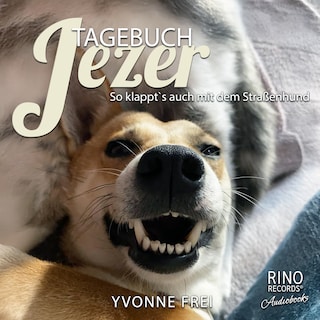 Tagebuch Jezer als Hörbuch