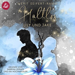 Haltlos - Lily und Jake als Hörbuch