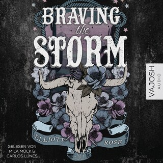 Braving the Storm als Hörbuch
