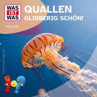 Quallen - glibberig schön! als Hörbuch