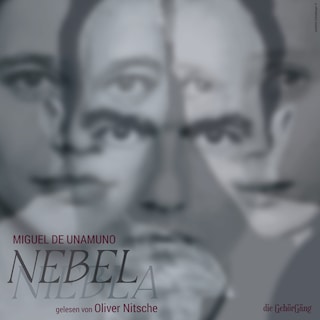 Nebel als Hörbuch