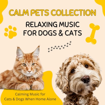 CALM PETS COLLECTION: Relaxing Music for Dogs & Cats