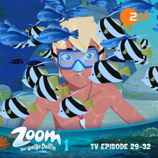Zoom - Der weiße Delfin: TV Episode 29-32 als Hörbuch
