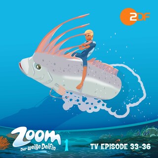 Zoom - Der weiße Delfin: TV Episode 33-36 als Hörbuch
