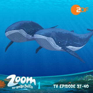 Zoom - Der weiße Delfin: TV Episode 37-40 als Hörbuch