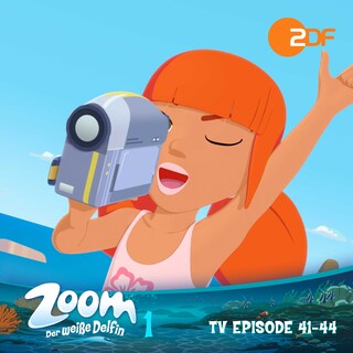 Zoom - Der weiße Delfin: TV Episode 41-44 als Hörbuch