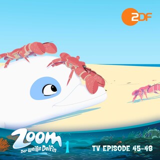 Zoom - Der weiße Delfin: TV Episode 45-48 als Hörbuch