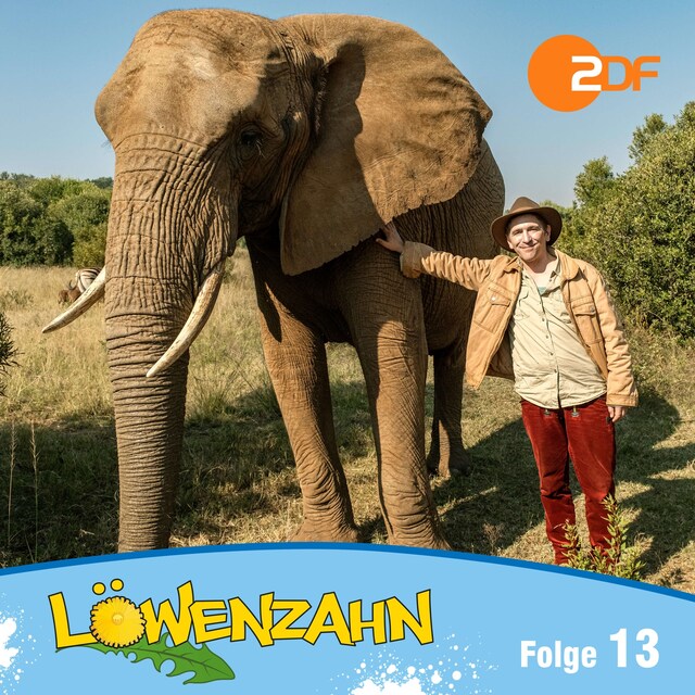 Book cover for Episode 13: Die Riesen der Savanne