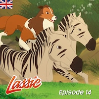 Episode 14: The Star Attraction