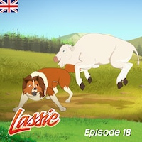 Episode 18: A Rare Sighting