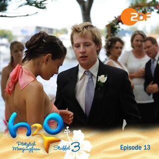 Staffel 3, Episode 13: Schlechtes Timing als Hörbuch