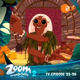 Zoom - Der weiße Delfin, Staffel 2: TV Episode 33-36 als Hörbuch