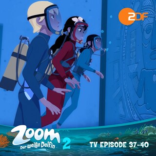 Zoom - Der weiße Delfin, Staffel 2: TV Episode 37-40 als Hörbuch