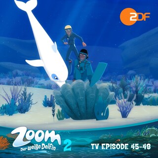 Zoom - Der weiße Delfin, Staffel 2: TV Episode 45-48 als Hörbuch