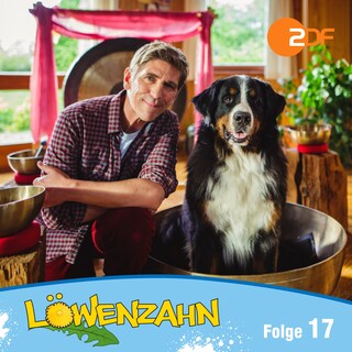 Episode 17: Der Tag als Fritz ein Papa war als Hörbuch