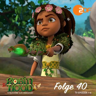 Folge 40: Katells Erwachen als Hörbuch